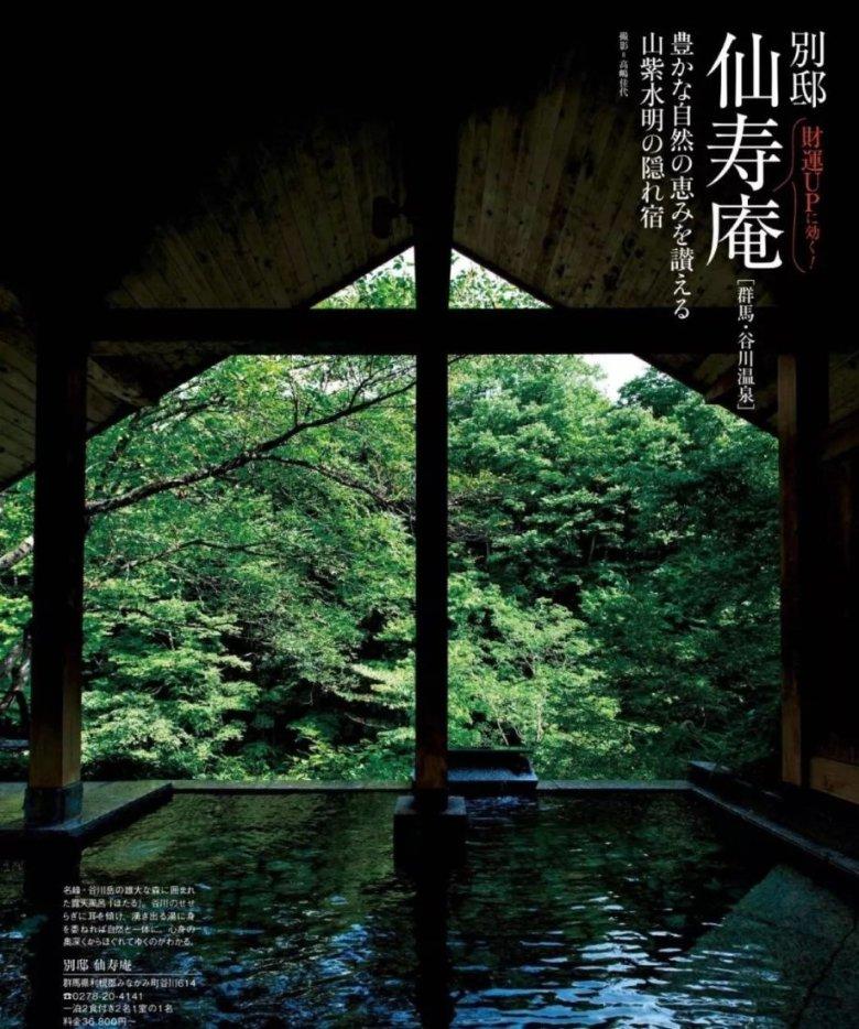 小猫钓鱼游戏龙王版有船