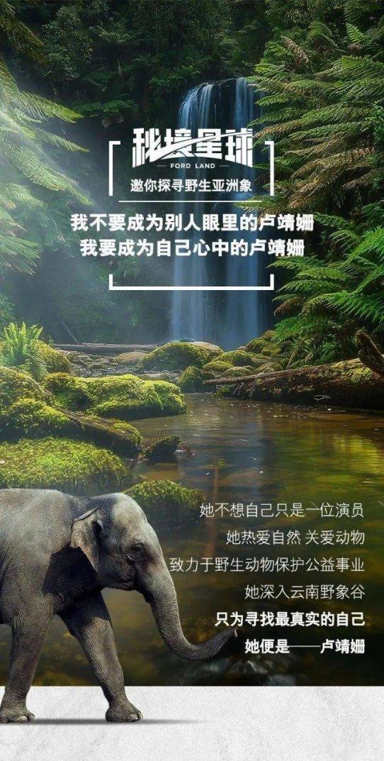 厉害了我的巧虎6